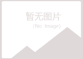 吴忠夏日建筑有限公司